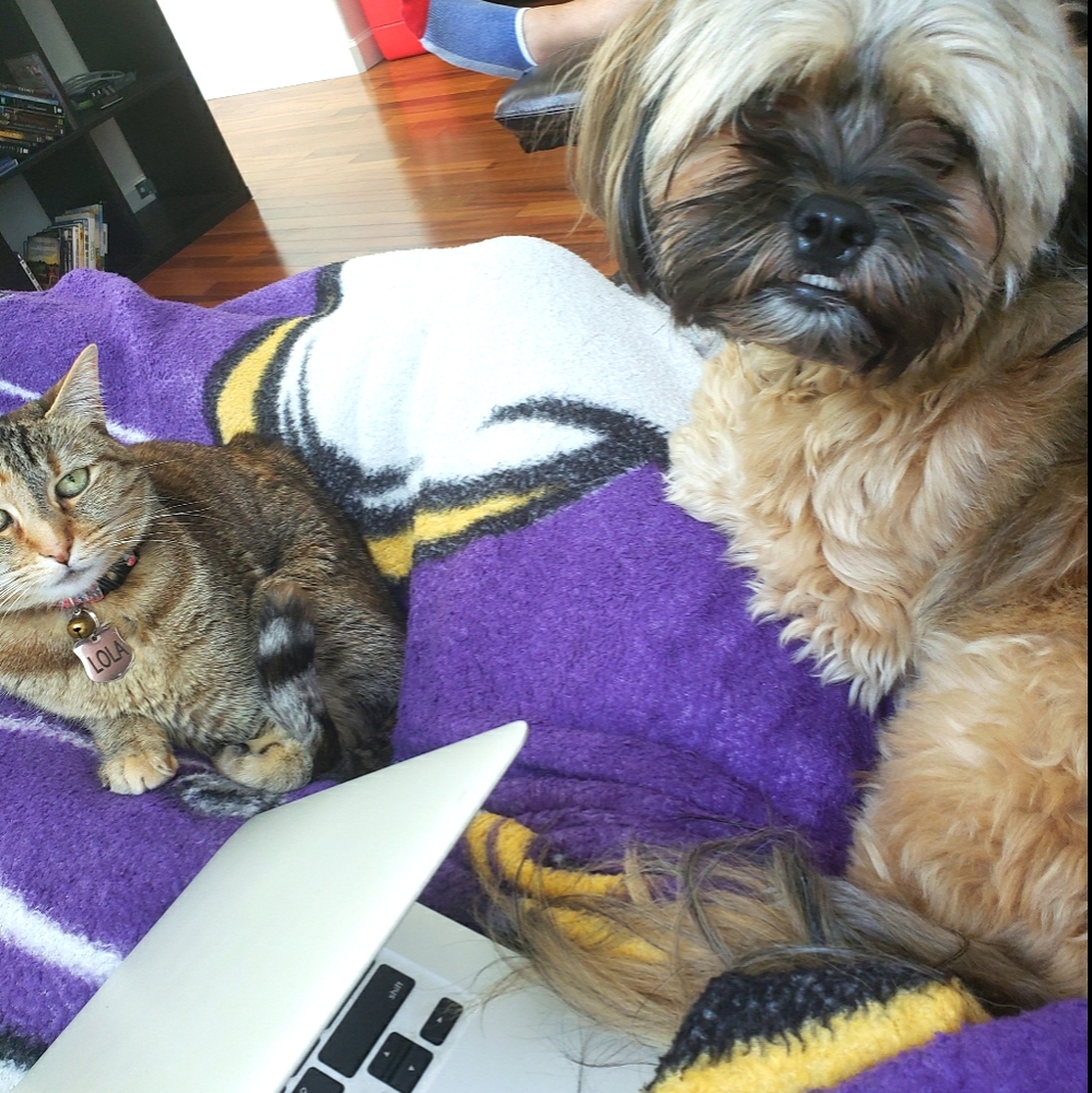 Meet your Posher, Derek